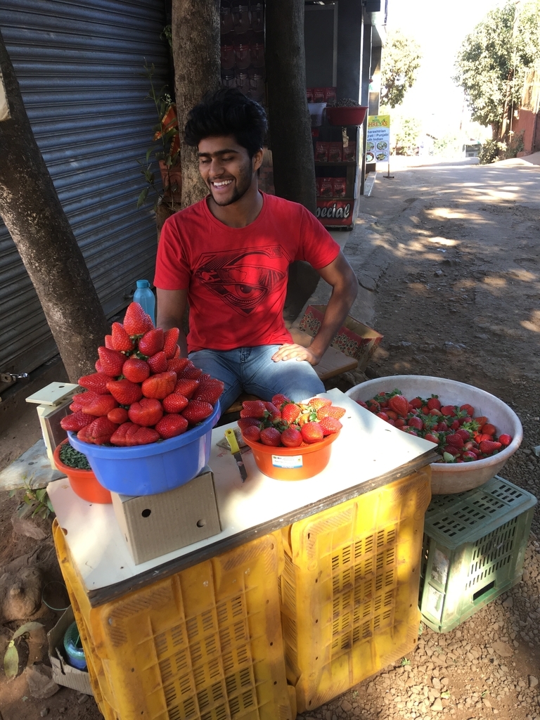 f:id:vento_str:20190313005329j:plain f:id:vento_str:20190313005329j:plain