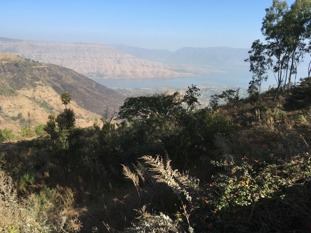f:id:vento_str:20190313005450j:plain f:id:vento_str:20190313005450j:plain