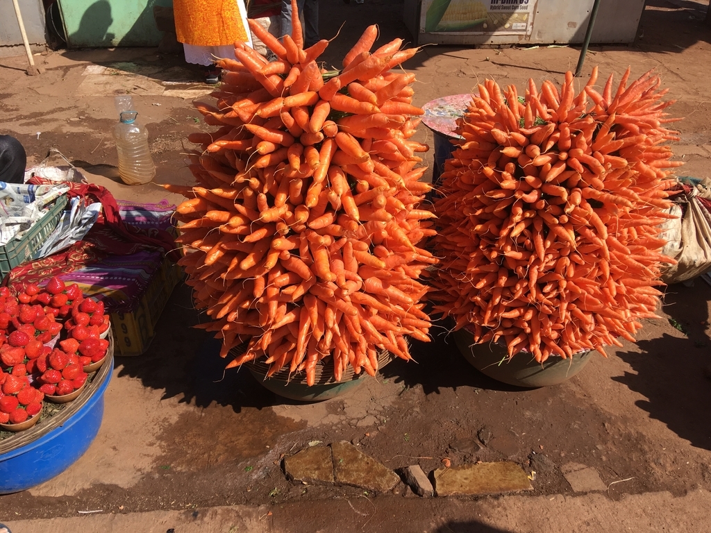 f:id:vento_str:20190313005628j:plain f:id:vento_str:20190313005628j:plain