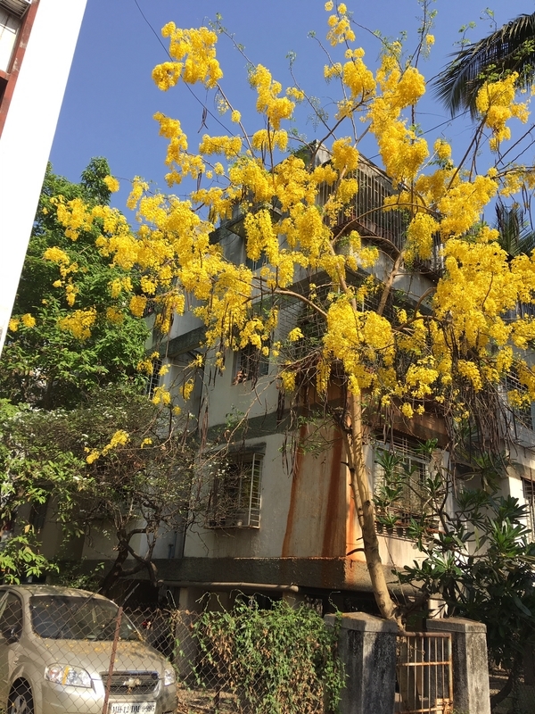 f:id:vento_str:20190407194439j:plain f:id:vento_str:20190407194439j:plain