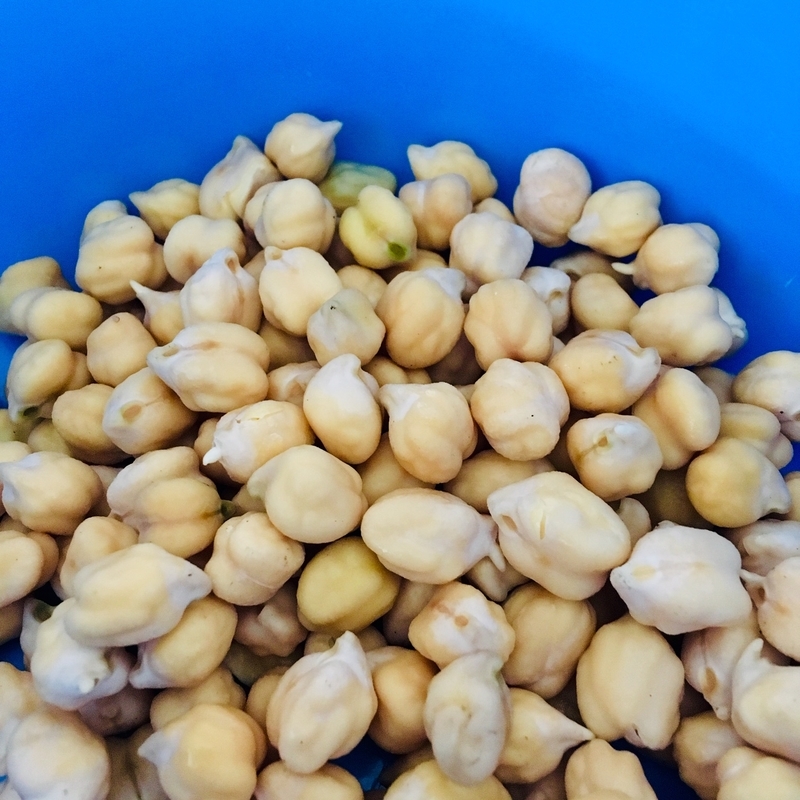 f:id:vento_str:20190818020127j:plain f:id:vento_str:20190818020127j:plain