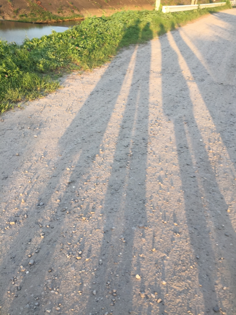 f:id:venusbreeze:20160728181606j:plain f:id:venusbreeze:20160728181606j:plain