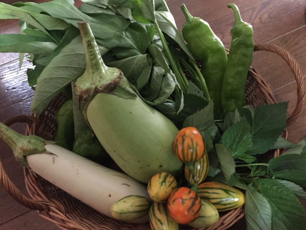 f:id:venusbreeze:20160729105003j:plain f:id:venusbreeze:20160729105003j:plain