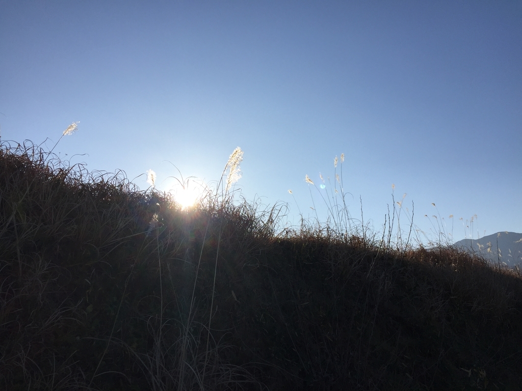 f:id:venusbreeze:20170105151051j:plain