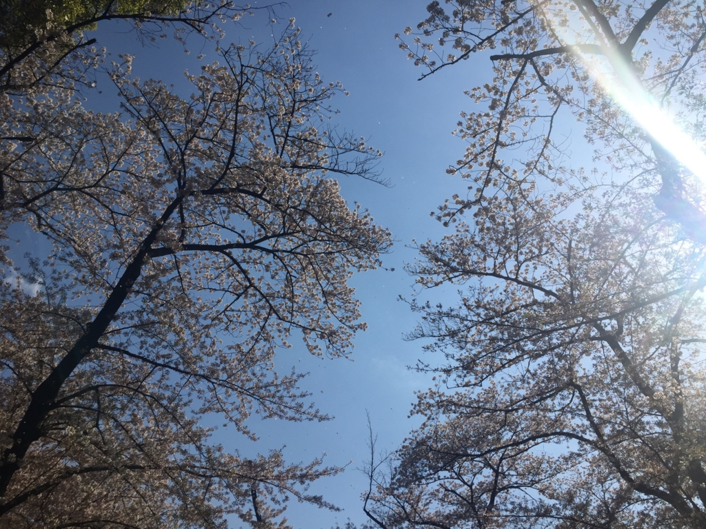 f:id:venusbreeze:20170413143752j:plain f:id:venusbreeze:20170413143752j:plain