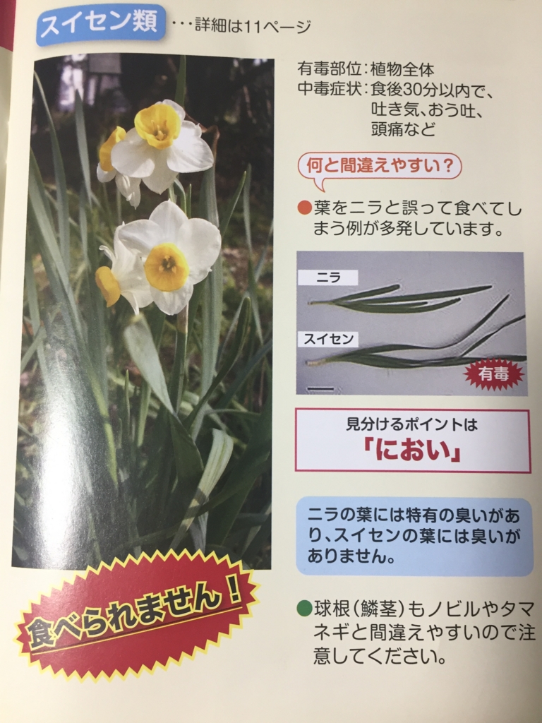 f:id:venusbreeze:20170417234633j:plain