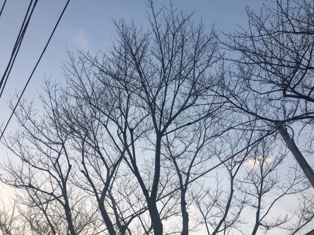 f:id:venusbreeze:20171216161503j:plain