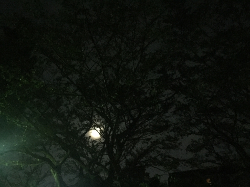 f:id:venusbreeze:20180824193901j:plain f:id:venusbreeze:20180824193901j:plain