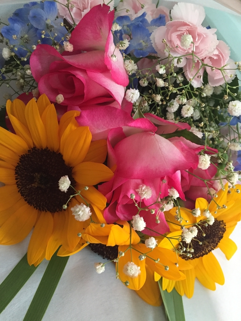 f:id:venusbreeze:20180904105042j:plain