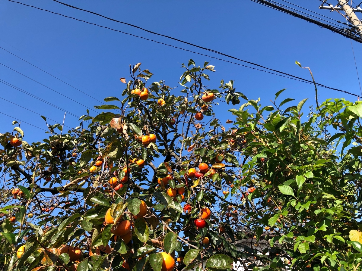 f:id:venusbreeze:20191104092510j:plain