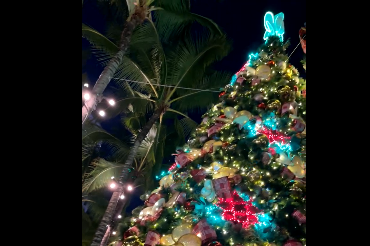 f:id:venusbreeze:20211211170143p:plain