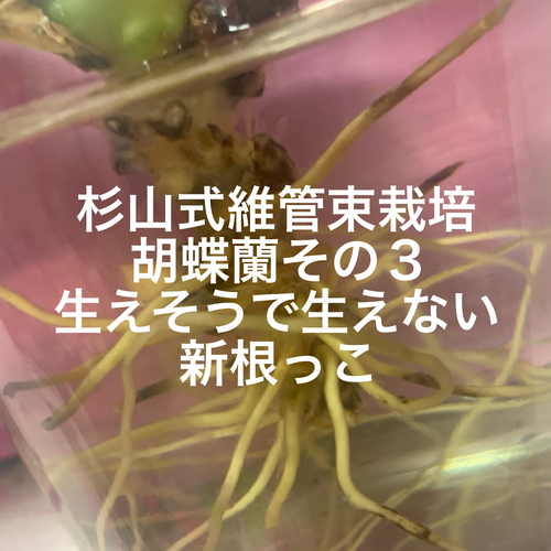 20231012232906