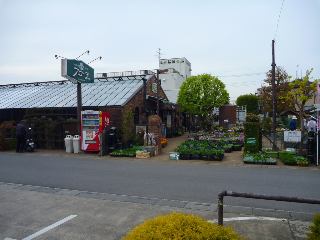 f:id:verandarosegarden:20170421091846j:plain