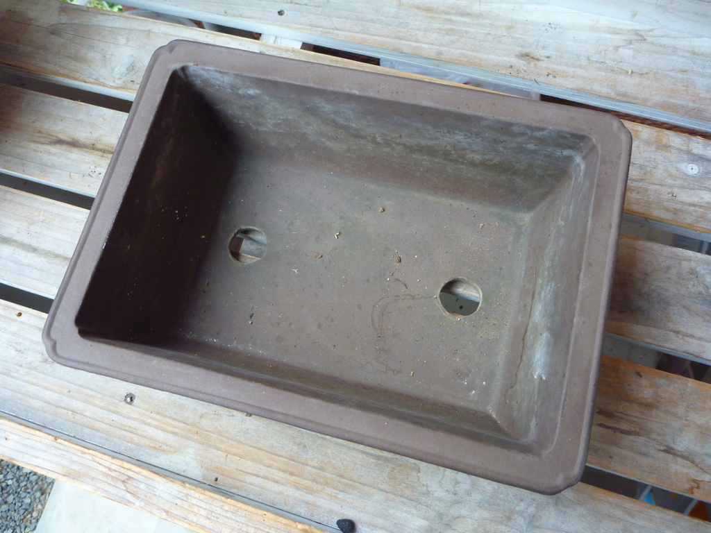 f:id:verandarosegarden:20170421092110j:plain