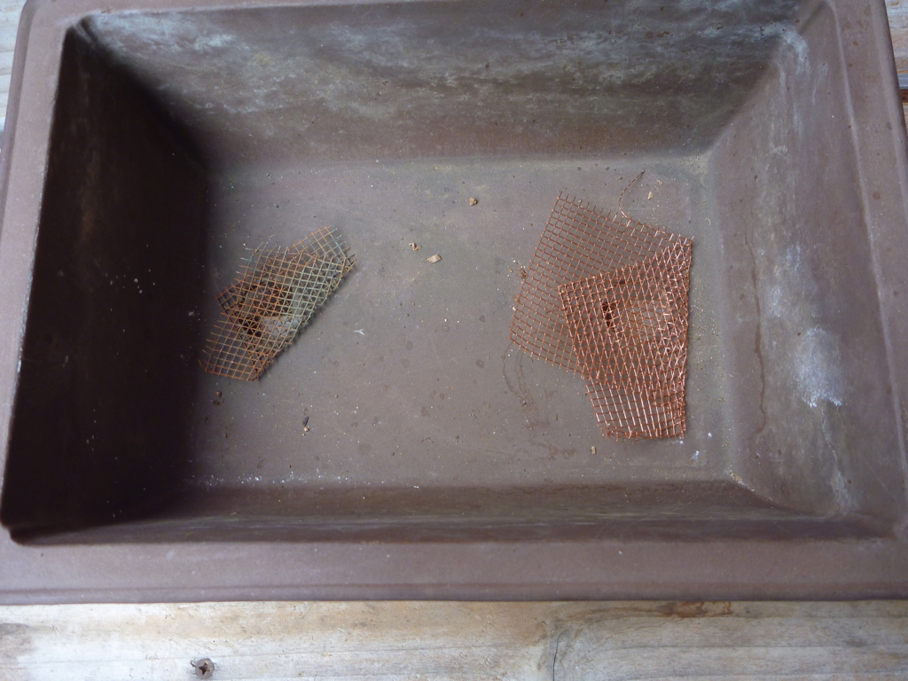 f:id:verandarosegarden:20170421092222j:plain