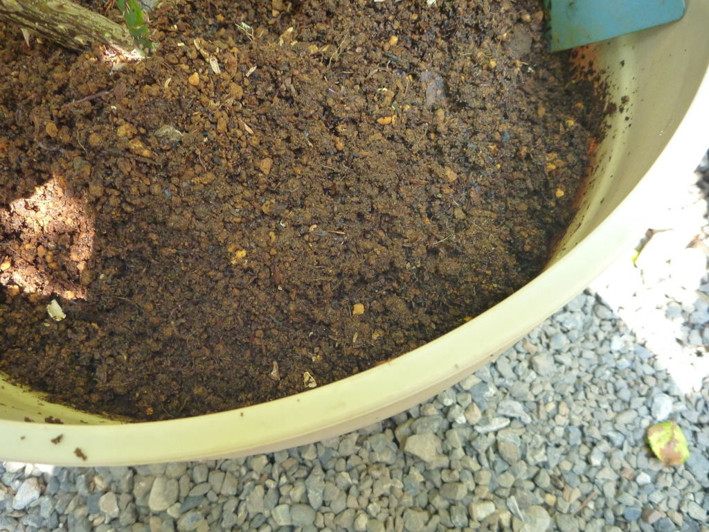 f:id:verandarosegarden:20170721052626j:plain f:id:verandarosegarden:20170721052626j:plain