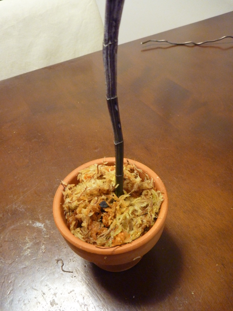 f:id:verandarosegarden:20180218200111j:plain f:id:verandarosegarden:20180218200111j:plain