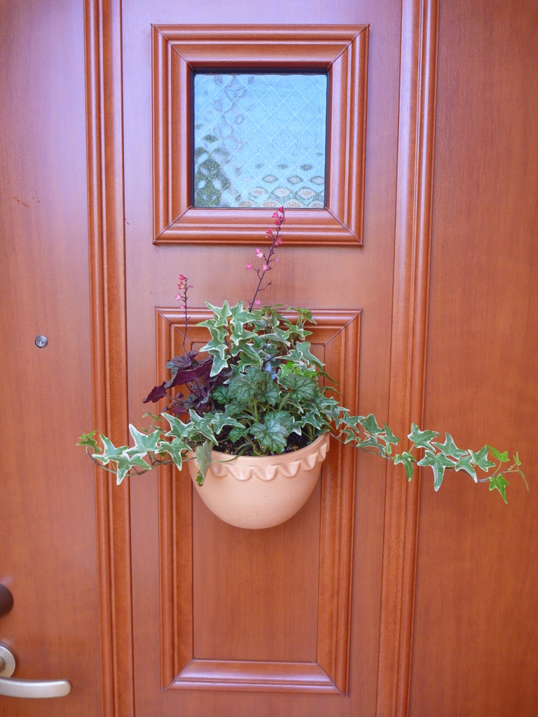 f:id:verandarosegarden:20180622164425j:plain f:id:verandarosegarden:20180622164425j:plain