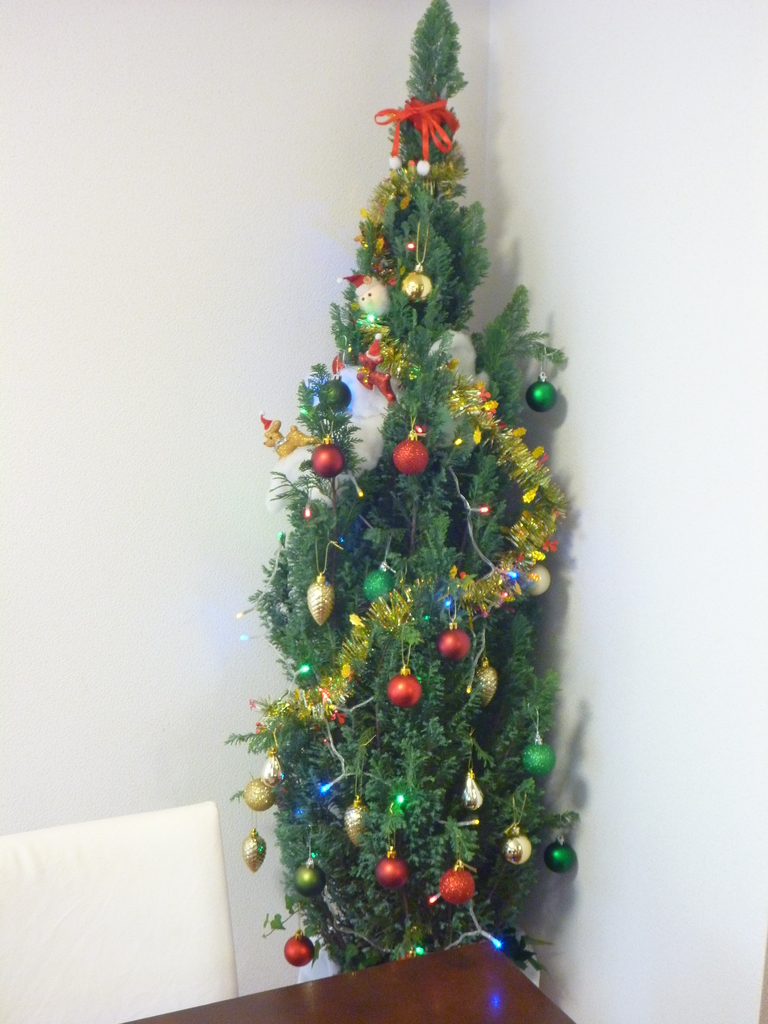 f:id:verandarosegarden:20181209122732j:plain f:id:verandarosegarden:20181209122732j:plain