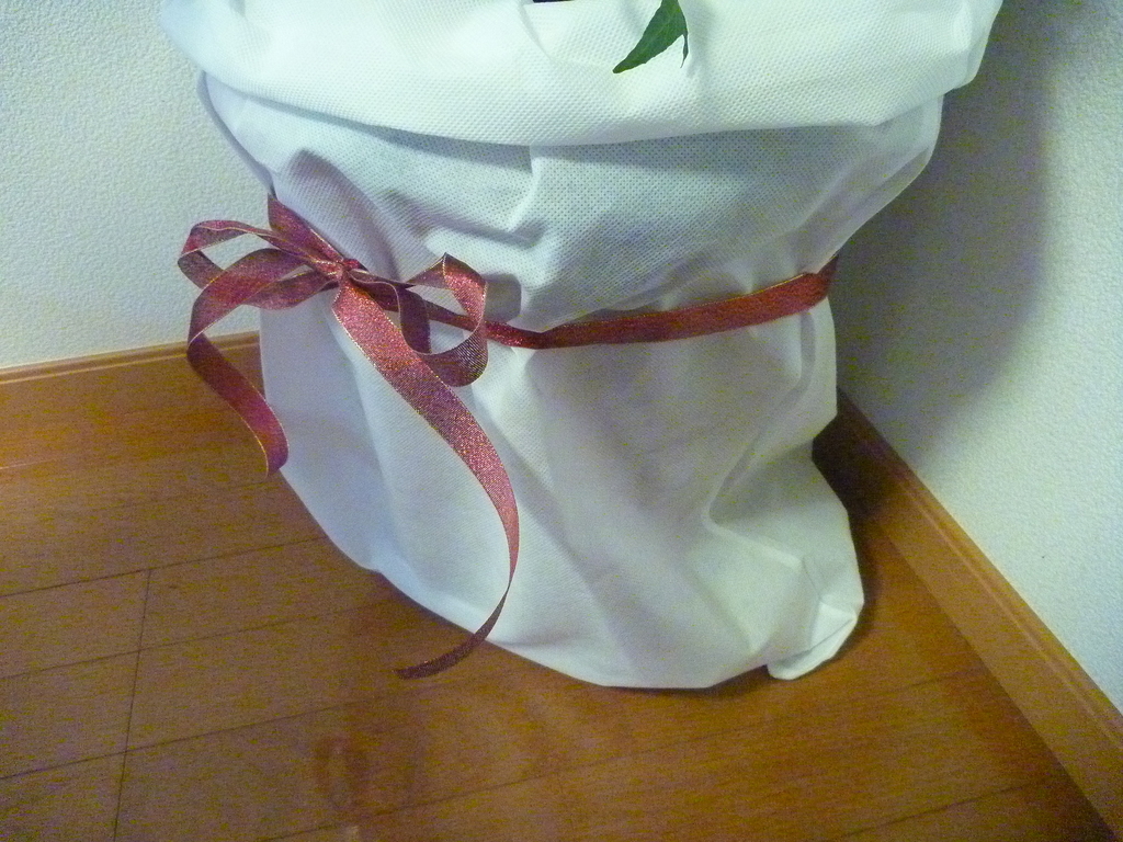 f:id:verandarosegarden:20181209124212j:plain f:id:verandarosegarden:20181209124212j:plain