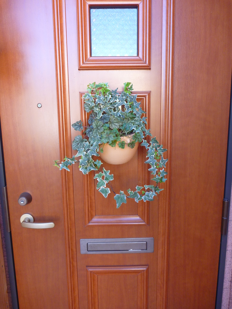 f:id:verandarosegarden:20181224114826j:plain f:id:verandarosegarden:20181224114826j:plain