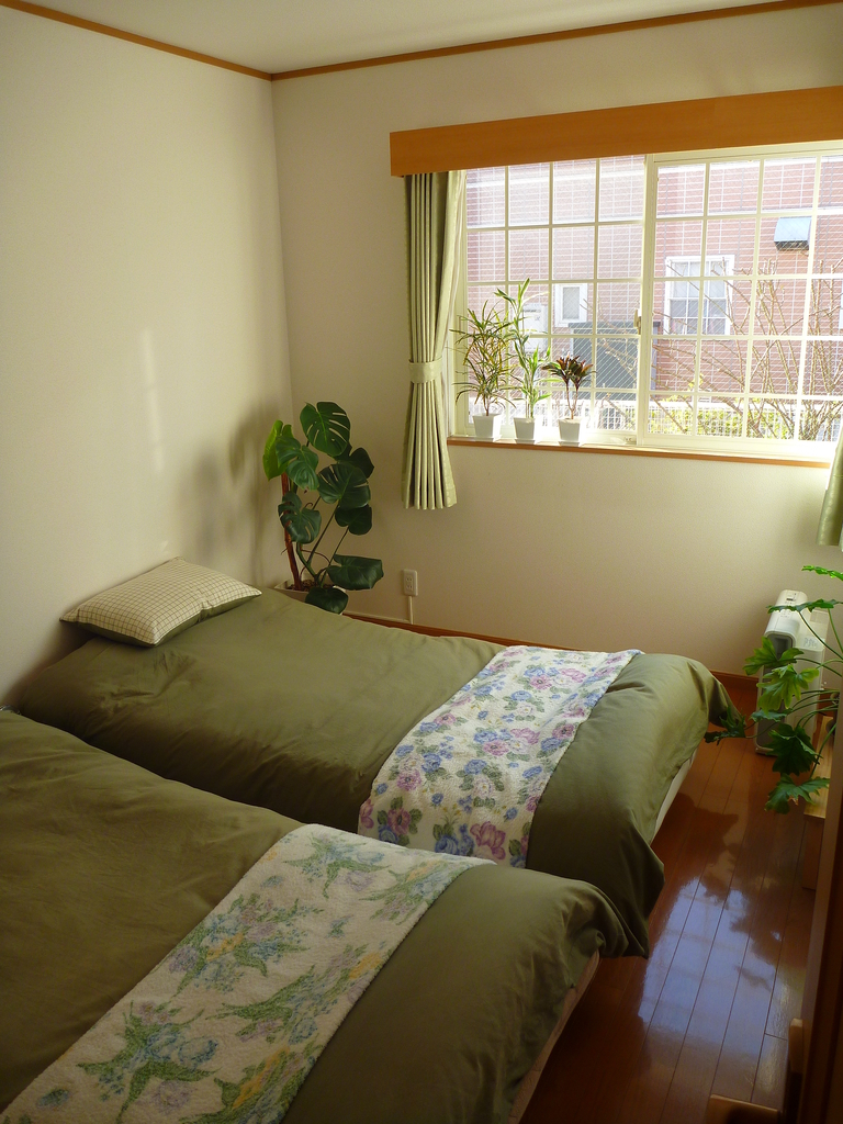 f:id:verandarosegarden:20190203202302j:plain