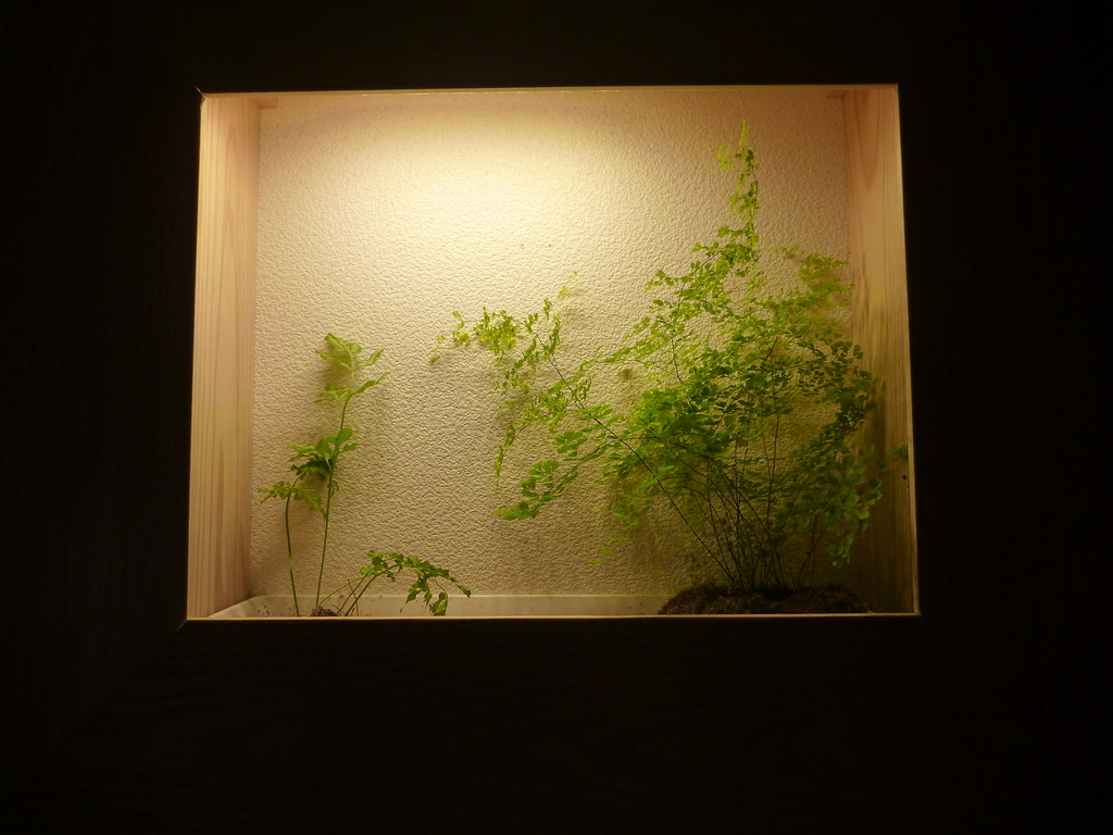 f:id:verandarosegarden:20190221094605j:plain f:id:verandarosegarden:20190221094605j:plain