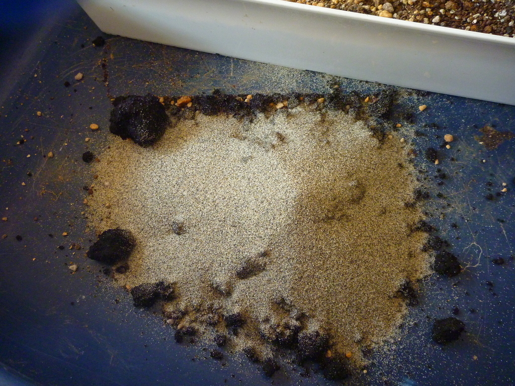 f:id:verandarosegarden:20190221095526j:plain f:id:verandarosegarden:20190221095526j:plain