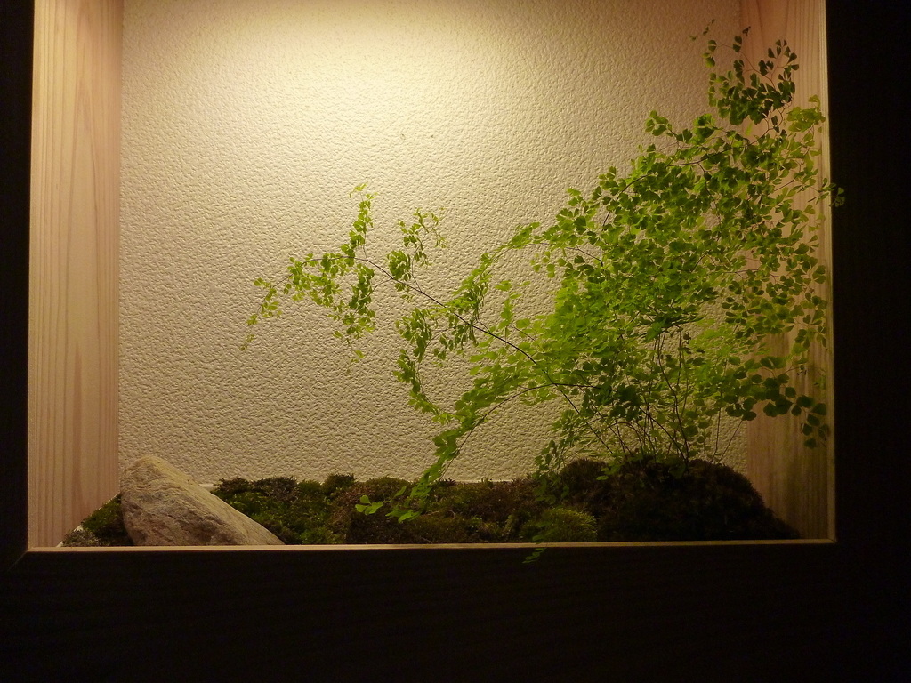 f:id:verandarosegarden:20190221100355j:plain f:id:verandarosegarden:20190221100355j:plain