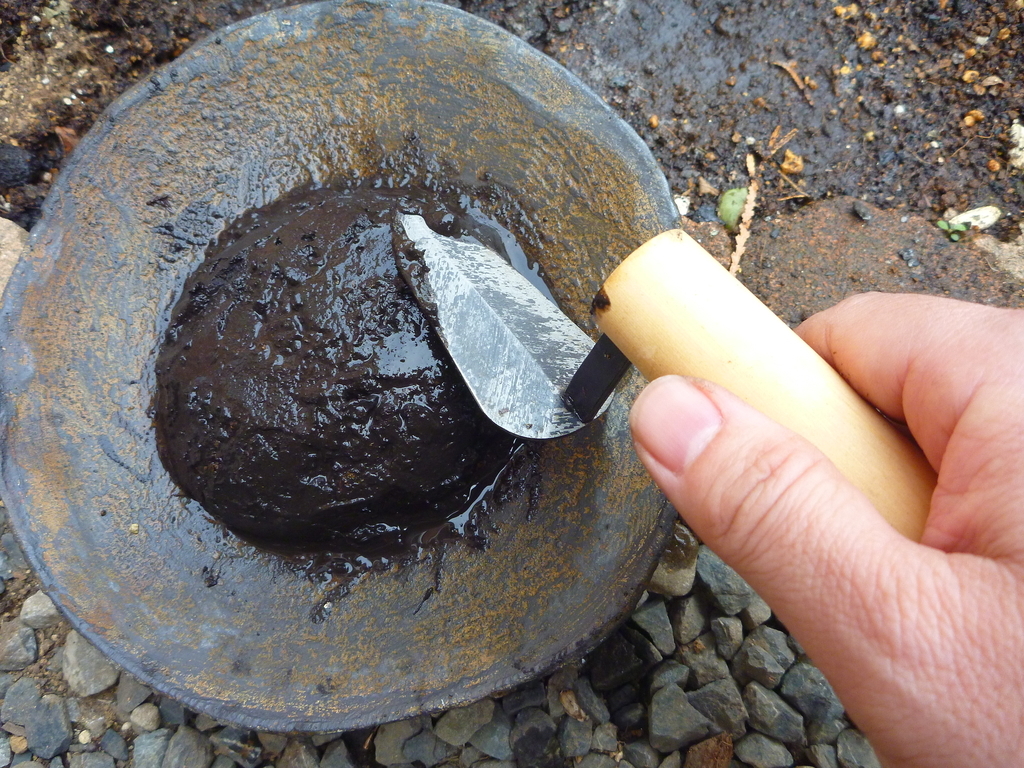 f:id:verandarosegarden:20190222170521j:plain