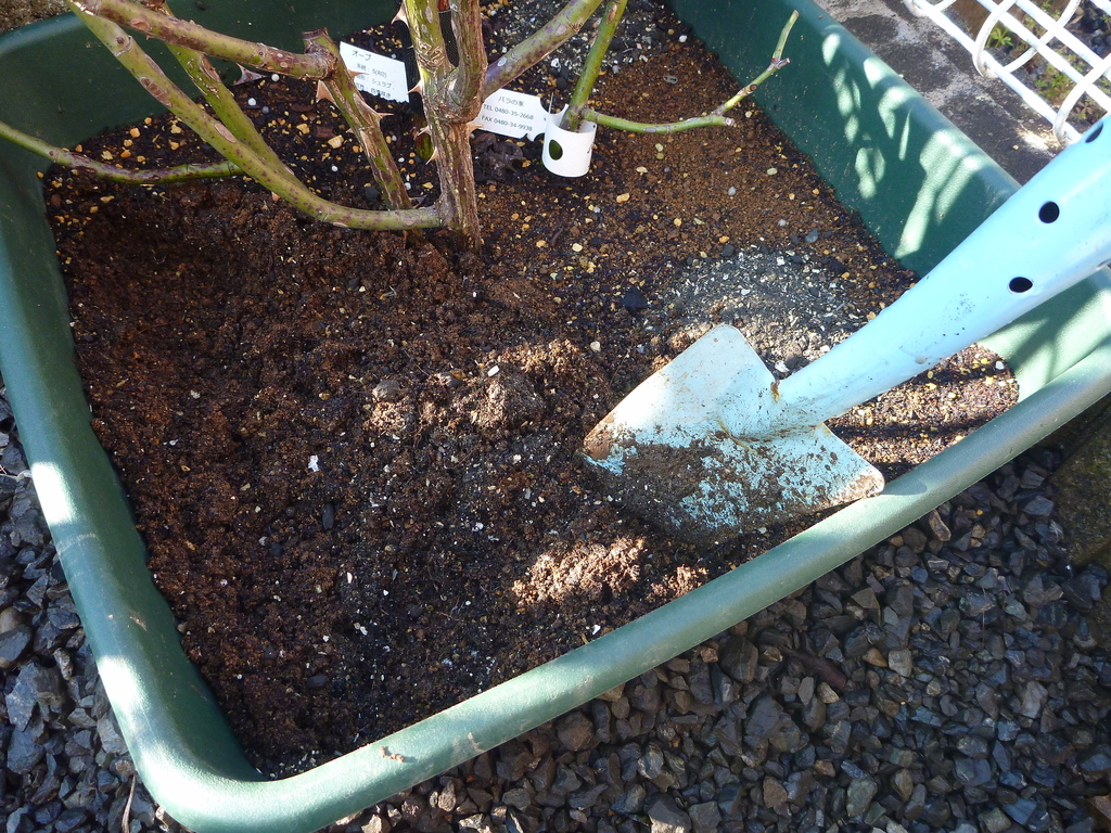 f:id:verandarosegarden:20190305095728j:plain f:id:verandarosegarden:20190305095728j:plain