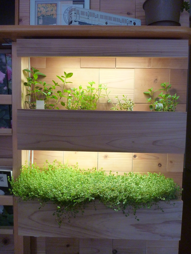 f:id:verandarosegarden:20190312090901j:plain f:id:verandarosegarden:20190312090901j:plain