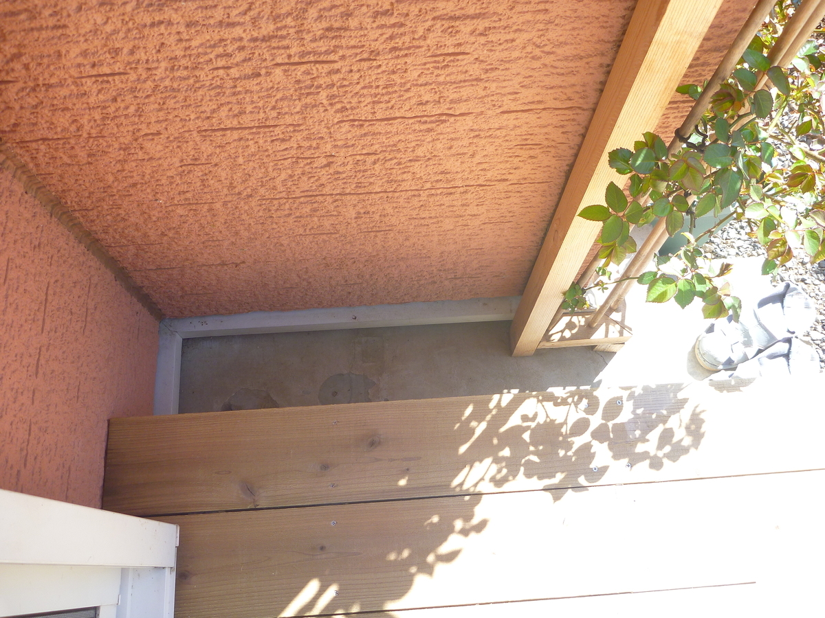 f:id:verandarosegarden:20190320091756j:plain f:id:verandarosegarden:20190320091756j:plain