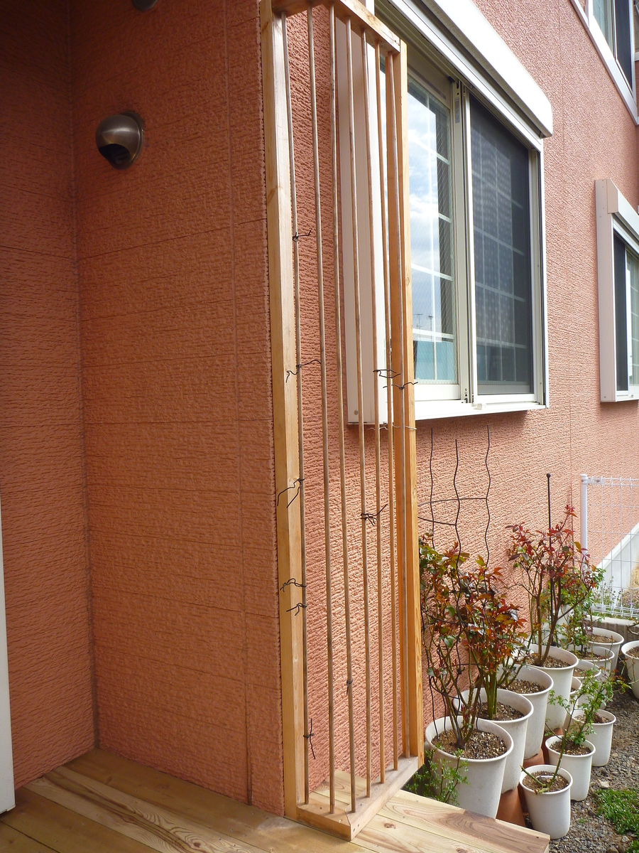 f:id:verandarosegarden:20190320100831j:plain f:id:verandarosegarden:20190320100831j:plain