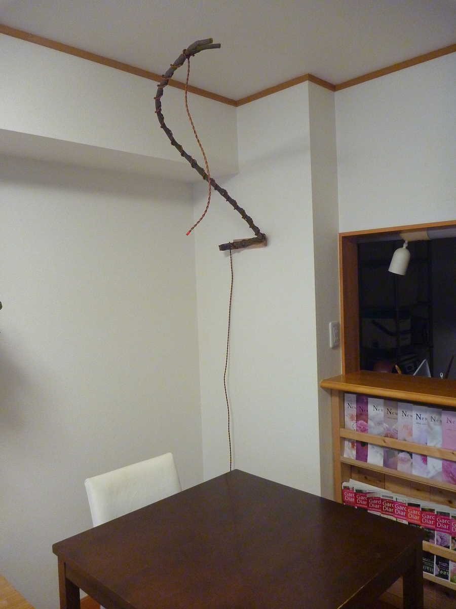 f:id:verandarosegarden:20190324081230j:plain
