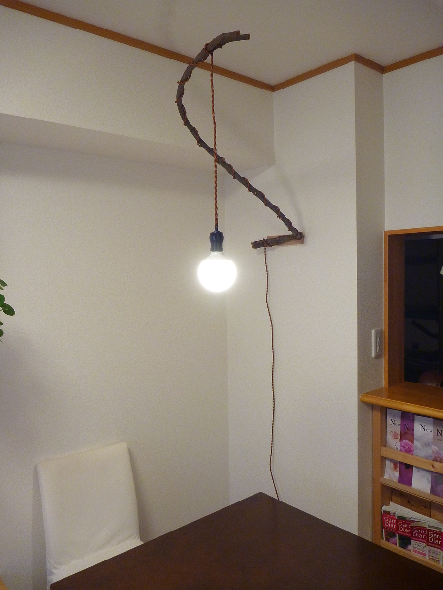 f:id:verandarosegarden:20190324082149j:plain