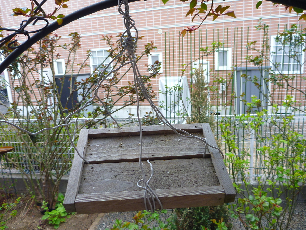 f:id:verandarosegarden:20190326081557j:plain f:id:verandarosegarden:20190326081557j:plain