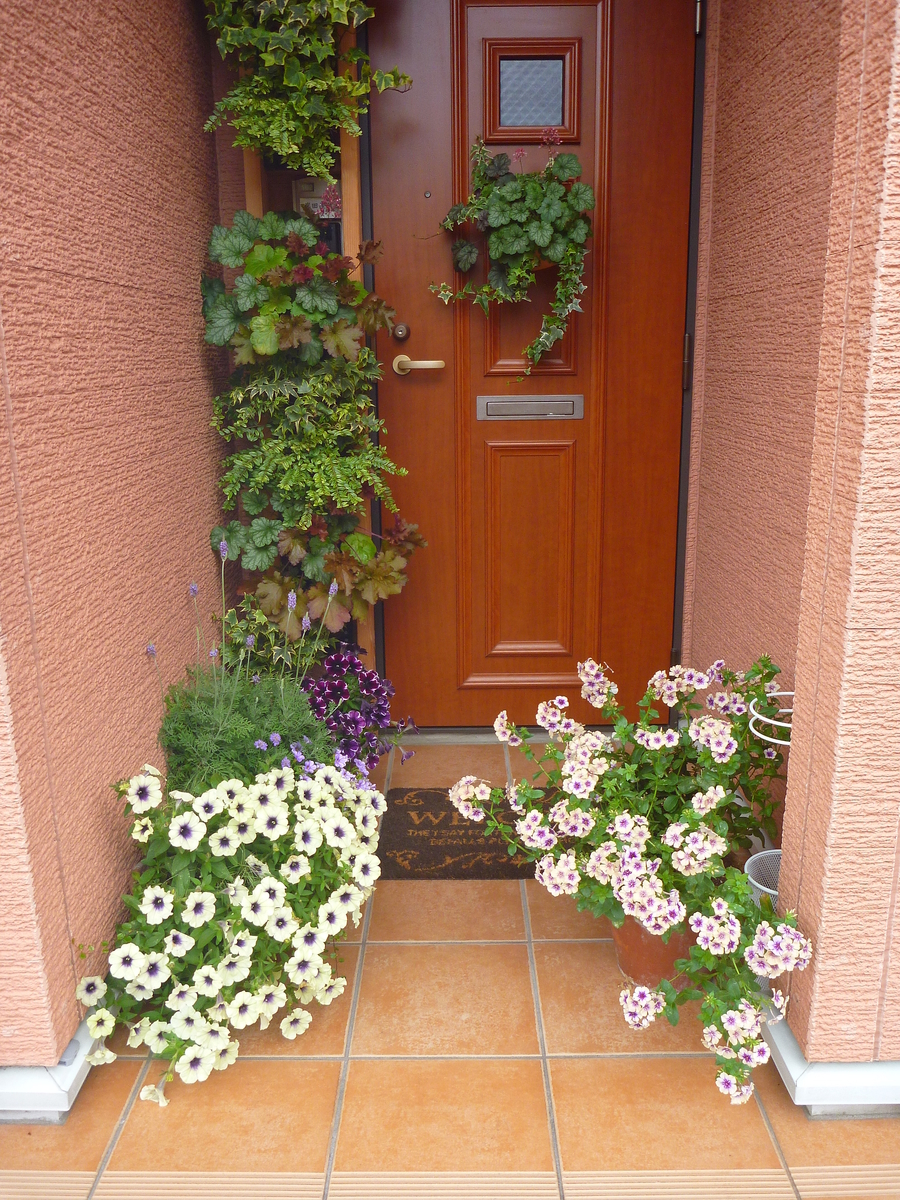 f:id:verandarosegarden:20190624172716j:plain