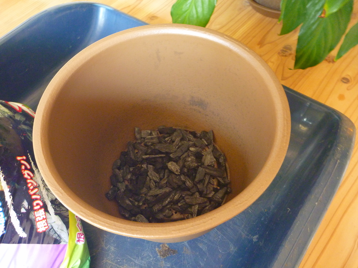 f:id:verandarosegarden:20190817113652j:plain f:id:verandarosegarden:20190817113652j:plain