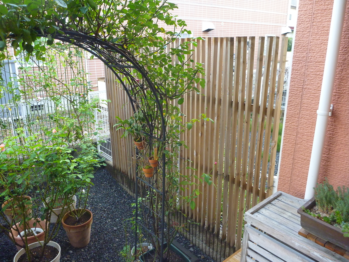 f:id:verandarosegarden:20190909063231j:plain