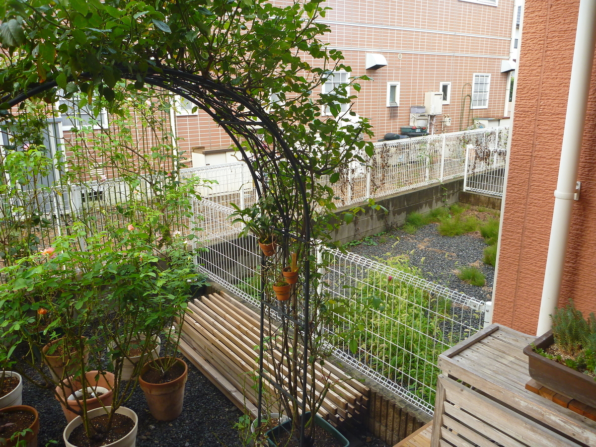 f:id:verandarosegarden:20190909063300j:plain