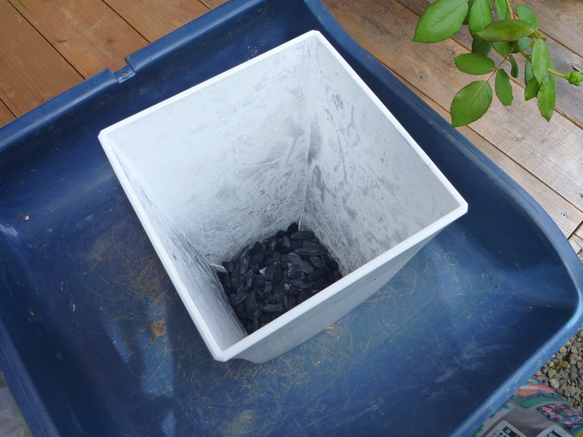 f:id:verandarosegarden:20190927144743j:plain