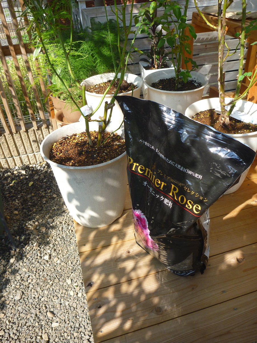 f:id:verandarosegarden:20191002133454j:plain f:id:verandarosegarden:20191002133454j:plain