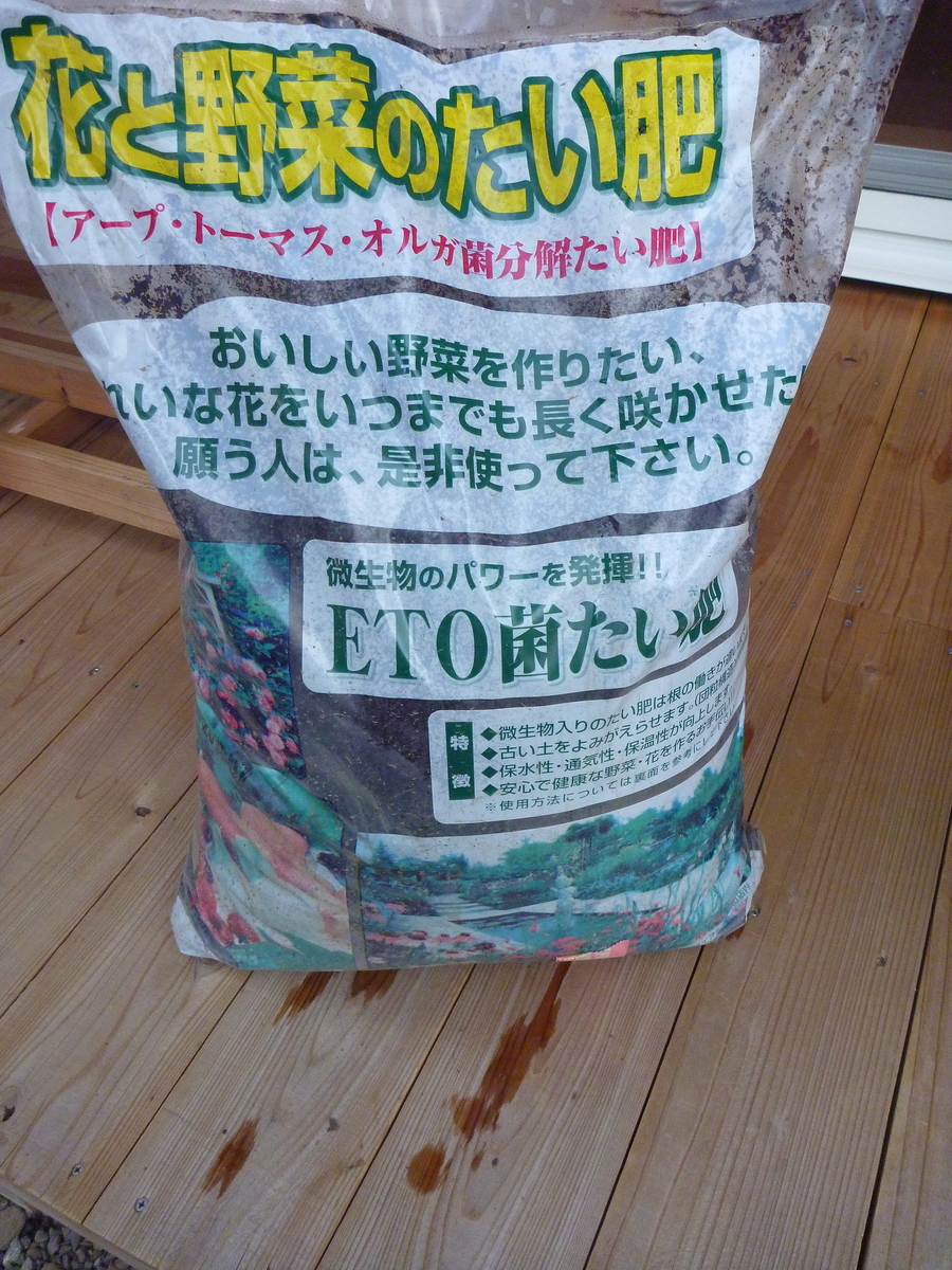 f:id:verandarosegarden:20191101092130j:plain