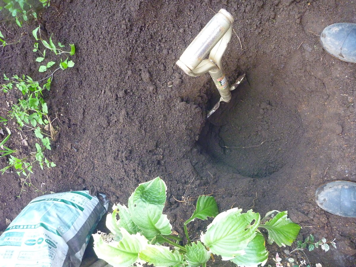 f:id:verandarosegarden:20191101092626j:plain