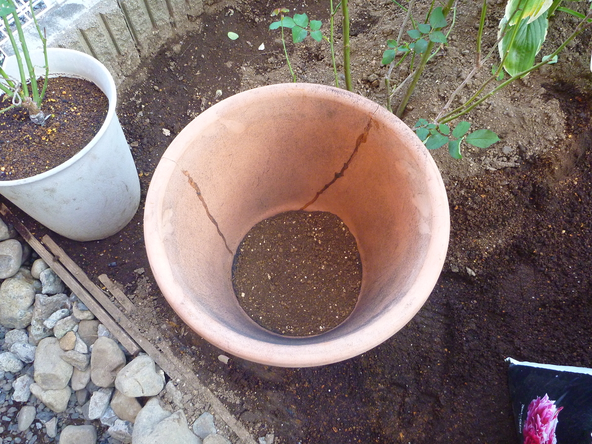 f:id:verandarosegarden:20191110124655j:plain f:id:verandarosegarden:20191110124655j:plain