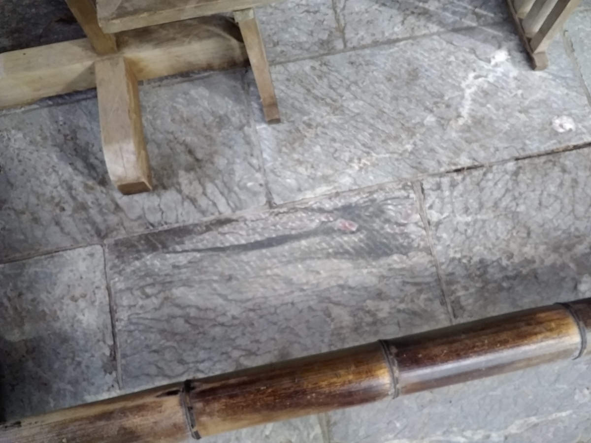 f:id:verandarosegarden:20191206171037j:plain