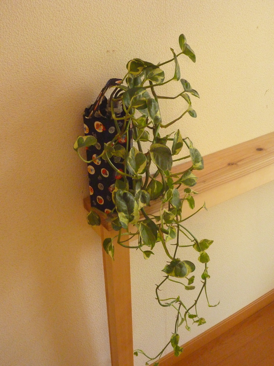 f:id:verandarosegarden:20191213133551j:plain f:id:verandarosegarden:20191213133551j:plain