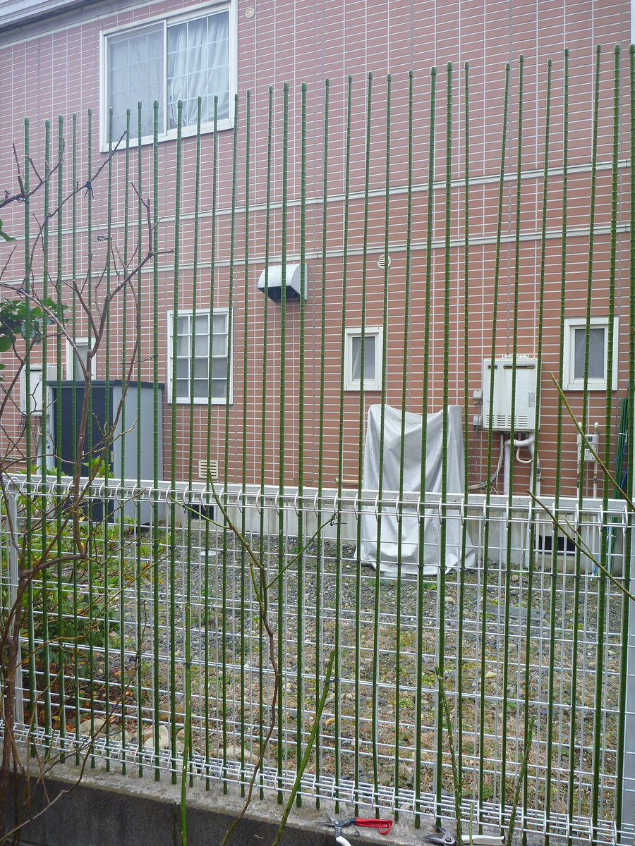 f:id:verandarosegarden:20200125174643j:plain f:id:verandarosegarden:20200125174643j:plain