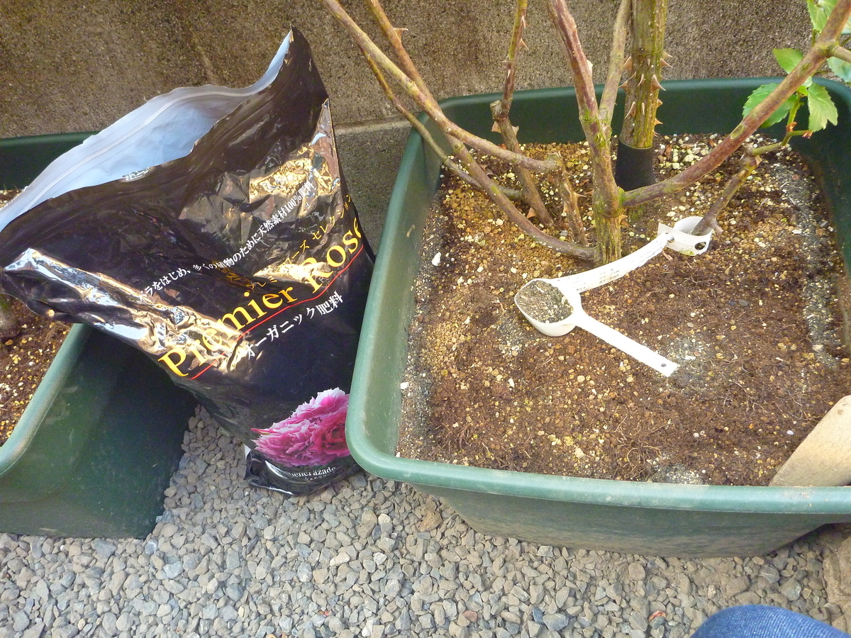 f:id:verandarosegarden:20200504192309j:plain f:id:verandarosegarden:20200504192309j:plain